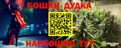 мдпв Новозыбков