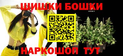 шишки Новодвинск