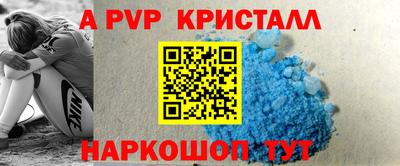 шишки Новодвинск