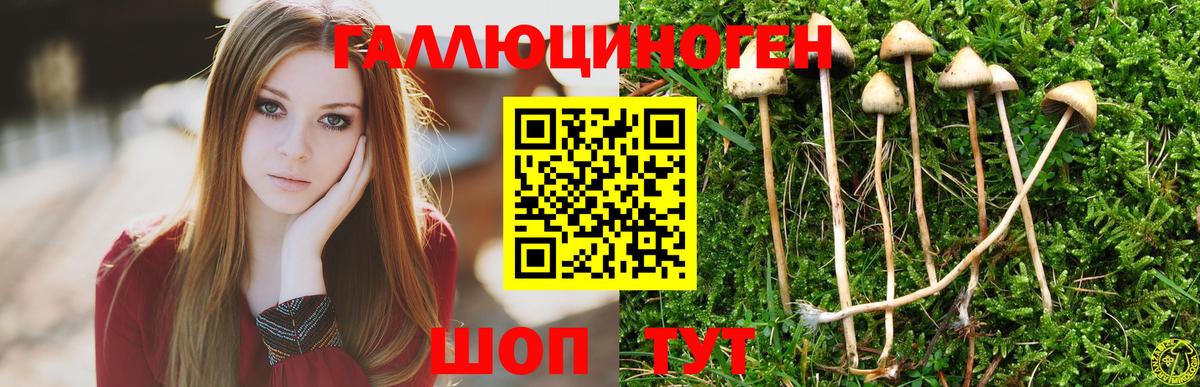 Псилоцибиновые грибы ЛСД Родники