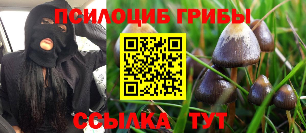 Родники  Галлюциногенные грибы MAGIC MUSHROOMS  Вход с VPN 